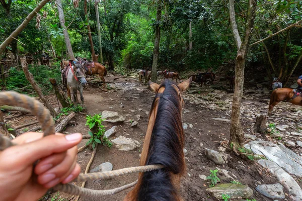 Paseos a caballo en Trinidad, Cuba — Foto de Stock