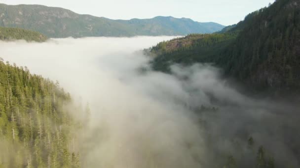 Luftaufnahme der wunderschönen kanadischen Berglandschaft über den Wolken an einem sonnigen Tag — Stockvideo