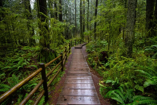 Lynn Canyon Park, North Vancouver, British Columbia, Canadá — Fotografia de Stock