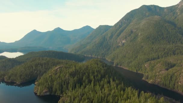 Schöne Luftaufnahme des Larry Lake — Stockvideo