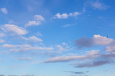Renkli kış günbatımında Güzel Panoramik Bulut Manzarası