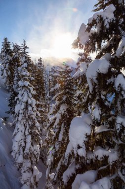 Kanada Dağ Manzarası 'ndaki Güzel Doğa Arkaplanı' nın havadan görünüşü. Whistler Dağı, British Columbia, Kanada 'da çekildi..