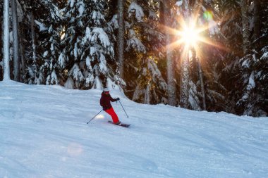 Kış günü güneş tepedeyken dağdan kayak yapmak. Whistler, British Columbia, Kanada 'da çekilmiş. Arkaplan için mükemmel.