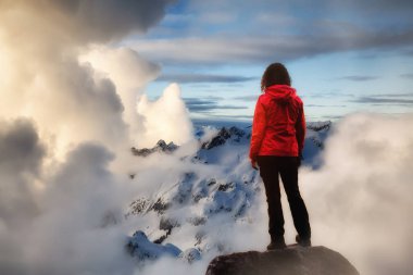 Güzel bir Kanada manzarasının havadan görünüşü