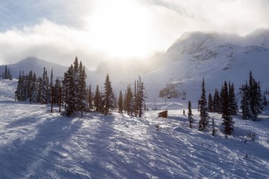 Whistler, British Columbia, Kanada. Canlı ve güneşli bir kış gününde karlı dağın güzel hava manzarası.