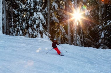 Kış günü güneş tepedeyken dağdan kayak yapmak. Whistler, British Columbia, Kanada 'da çekilmiş. Arkaplan için mükemmel.