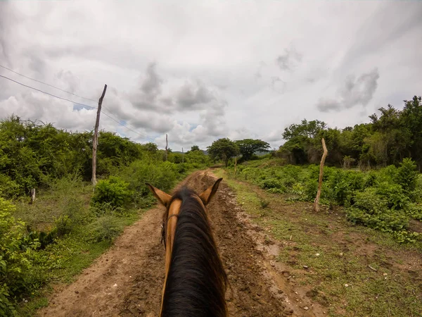 Paseos Caballo Por Sendero Sucio Campo Cerca Pequeño Pueblo Cubano —  Fotos de Stock