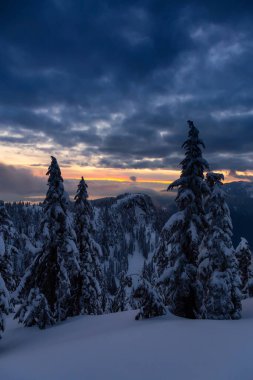 Kanada Doğa Sahası, renkli ve canlı kış günbatımında taze beyaz karla kaplıdır. Seymour Dağı, Kuzey Vancouver, British Columbia, Kanada.