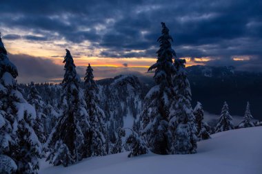 Kanada Doğa Sahası, renkli ve canlı kış günbatımında taze beyaz karla kaplıdır. Seymour Dağı, Kuzey Vancouver, British Columbia, Kanada.