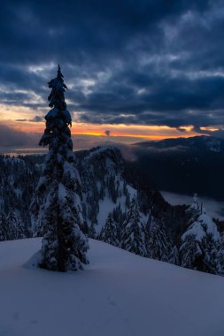 Kanada Doğa Sahası, renkli ve canlı kış günbatımında taze beyaz karla kaplıdır. Seymour Dağı, Kuzey Vancouver, British Columbia, Kanada.