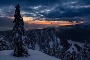 Kanada Doğa Sahası, renkli ve canlı kış günbatımında taze beyaz karla kaplıdır. Seymour Dağı, Kuzey Vancouver, British Columbia, Kanada.