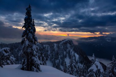 Kanada Doğa Sahası, renkli ve canlı kış günbatımında taze beyaz karla kaplıdır. Seymour Dağı, Kuzey Vancouver, British Columbia, Kanada.