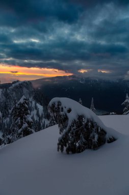 Kanada Doğa Sahası, renkli ve canlı kış günbatımında taze beyaz karla kaplıdır. Seymour Dağı, Kuzey Vancouver, British Columbia, Kanada.