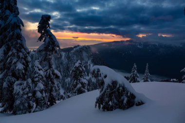 Kanada Doğa Sahası, renkli ve canlı kış günbatımında taze beyaz karla kaplıdır. Seymour Dağı, Kuzey Vancouver, British Columbia, Kanada.