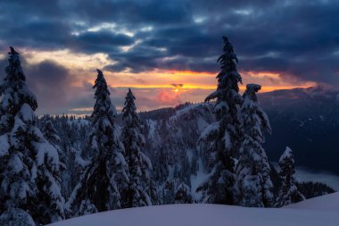 Kanada Doğa Sahası, renkli ve canlı kış günbatımında taze beyaz karla kaplıdır. Seymour Dağı, Kuzey Vancouver, British Columbia, Kanada.