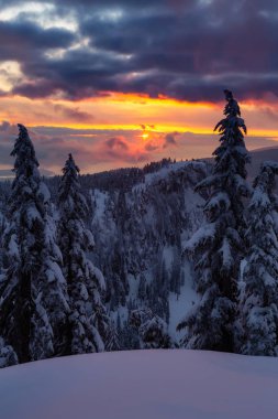 Kanada Doğa Sahası, renkli ve canlı kış günbatımında taze beyaz karla kaplıdır. Seymour Dağı, Kuzey Vancouver, British Columbia, Kanada.