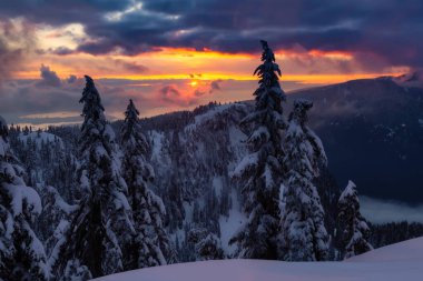 Kanada Doğa Sahası, renkli ve canlı kış günbatımında taze beyaz karla kaplıdır. Seymour Dağı, Kuzey Vancouver, British Columbia, Kanada.