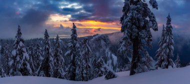 Kanada Doğa Sahası, renkli ve canlı kış günbatımında taze beyaz karla kaplıdır. Seymour Dağı, Kuzey Vancouver, British Columbia, Kanada 'da çekildi. Panorama