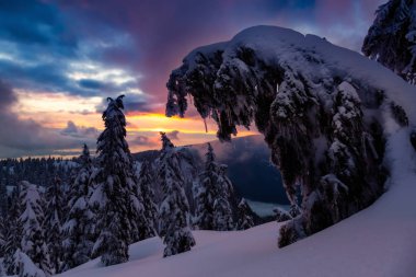 Kanada Doğa Sahası, renkli ve canlı kış günbatımında taze beyaz karla kaplıdır. Seymour Dağı, Kuzey Vancouver, British Columbia, Kanada.