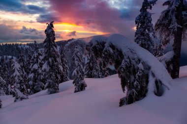 Kanada Doğa Sahası, renkli ve canlı kış günbatımında taze beyaz karla kaplıdır. Seymour Dağı, Kuzey Vancouver, British Columbia, Kanada.