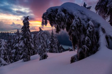 Kanada Doğa Sahası, renkli ve canlı kış günbatımında taze beyaz karla kaplıdır. Seymour Dağı, Kuzey Vancouver, British Columbia, Kanada.