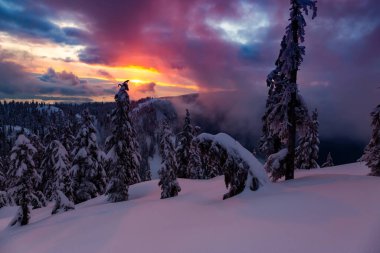 Kanada Doğa Sahası, renkli ve canlı kış günbatımında taze beyaz karla kaplıdır. Seymour Dağı, Kuzey Vancouver, British Columbia, Kanada.