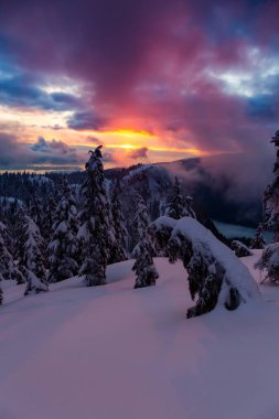 Kanada Doğa Sahası, renkli ve canlı kış günbatımında taze beyaz karla kaplıdır. Seymour Dağı, Kuzey Vancouver, British Columbia, Kanada.