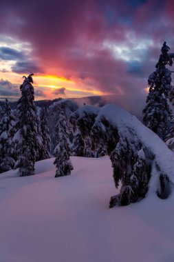 Kanada Doğa Sahası, renkli ve canlı kış günbatımında taze beyaz karla kaplıdır. Seymour Dağı, Kuzey Vancouver, British Columbia, Kanada.