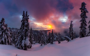 Kanada Doğa Sahası, renkli ve canlı kış günbatımında taze beyaz karla kaplıdır. Seymour Dağı, Kuzey Vancouver, British Columbia, Kanada.