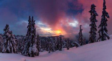 Kanada Doğa Sahası, renkli ve canlı kış günbatımında taze beyaz karla kaplıdır. Seymour Dağı, Kuzey Vancouver, British Columbia, Kanada.