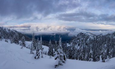 Kanada Doğa Sahası, renkli kış günbatımında taze beyaz karla kaplıdır. Seymour Dağı, Kuzey Vancouver, British Columbia, Kanada 'da çekildi. Panorama