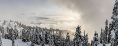 Kanada Doğa Alanı kış boyunca taze beyaz karla kaplıdır. Seymour Dağı, Kuzey Vancouver, British Columbia, Kanada 'da çekildi. Panorama