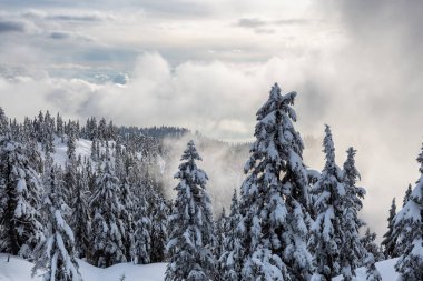 Kanada Doğa Alanı kış boyunca taze beyaz karla kaplıdır. Seymour Dağı, Kuzey Vancouver, British Columbia, Kanada.