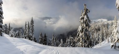 Kanada Doğa Alanı kış boyunca taze beyaz karla kaplıdır. Seymour Dağı, Kuzey Vancouver, British Columbia, Kanada 'da çekildi. Panorama