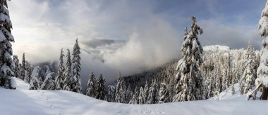 Kanada Doğa Alanı kış boyunca taze beyaz karla kaplıdır. Seymour Dağı, Kuzey Vancouver, British Columbia, Kanada 'da çekildi. Panorama