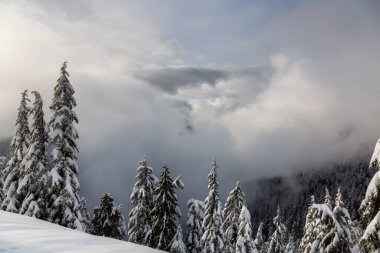 Kanada Doğa Alanı kış boyunca taze beyaz karla kaplıdır. Seymour Dağı, Kuzey Vancouver, British Columbia, Kanada 'da çekildi. Panorama