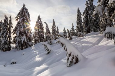 Kanada Doğa Alanı kış boyunca taze beyaz karla kaplıdır. Seymour Dağı, Kuzey Vancouver, British Columbia, Kanada.