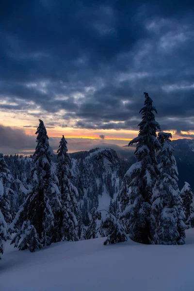 Kanadensisk Natur Landskap Täckt Färsk Vit Snö Färgglada Och Pulserande — Stockfoto