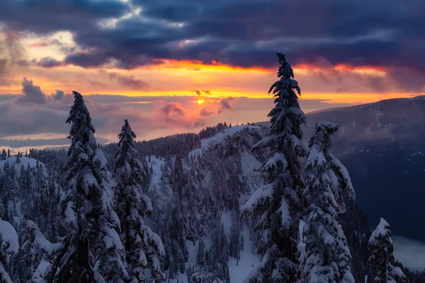 Kanadská Přírodní Krajina Pokrytá Svěžím Bílým Sněhem Během Barevného Pulzujícího — Stock fotografie