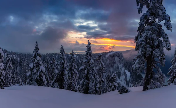 Kanada Doğa Sahası, renkli ve canlı kış günbatımında taze beyaz karla kaplıdır. Seymour Dağı, Kuzey Vancouver, British Columbia, Kanada 'da çekildi. Panorama