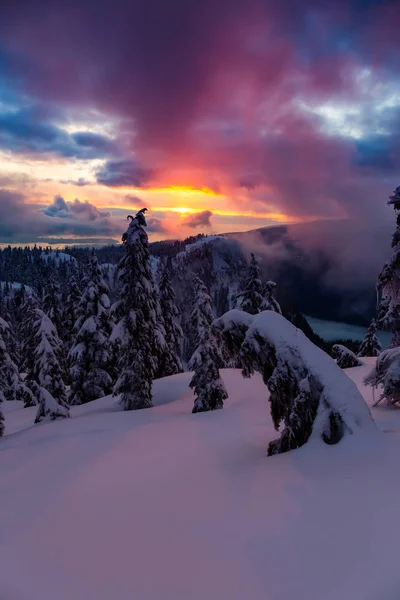 Kanadensisk Natur Landskap Täckt Färsk Vit Snö Färgglada Och Pulserande — Stockfoto