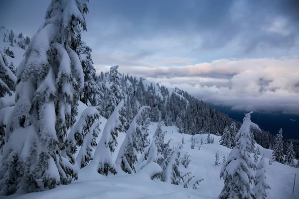 Kanadská Přírodní Krajina Pokrytá Svěžím Bílým Sněhem Během Barevného Zimního — Stock fotografie