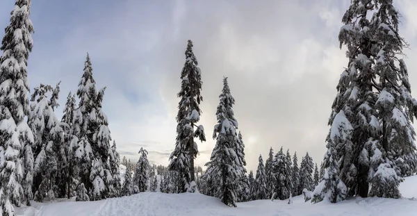 Canadian Nature Landscape Covered Fresh White Snow Winter Taken Seymour — Stock Photo, Image