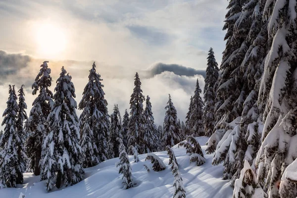Canadian Nature Landscape Covered Fresh White Snow Winter Taken Seymour — Stock Photo, Image