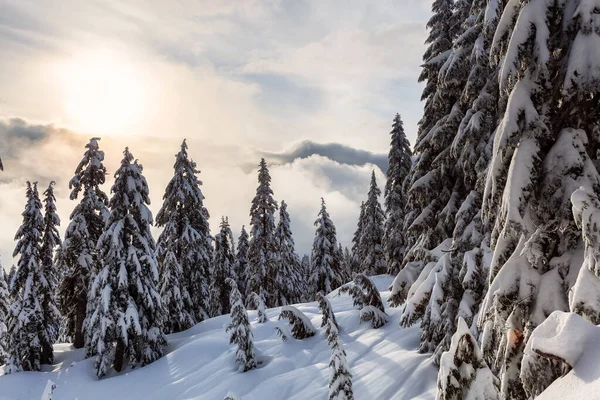 Kanadische Naturlandschaft Die Winter Mit Frischem Weißen Schnee Bedeckt Ist — Stockfoto