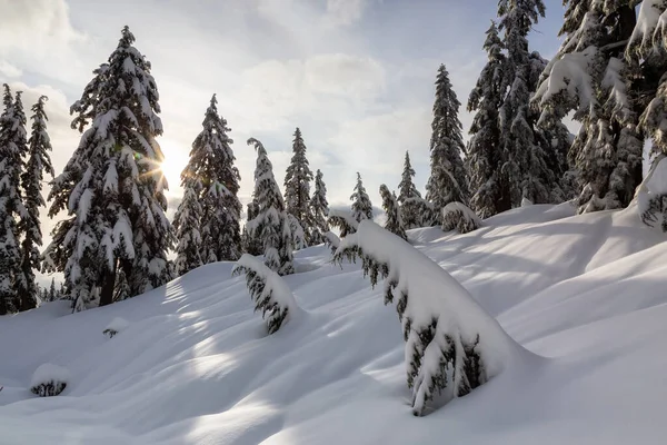 Canadian Nature Landscape Covered Fresh White Snow Winter Taken Seymour — Stock Photo, Image