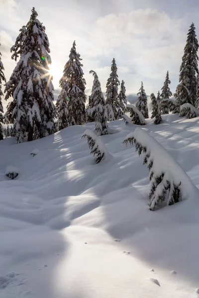 Canadian Nature Landscape Coperto Neve Fresca Bianca Durante Inverno Preso — Foto Stock