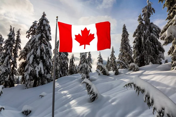 Paisagem Natural Canadense Coberto Neve Branca Fresca Durante Inverno Tomado — Fotografia de Stock