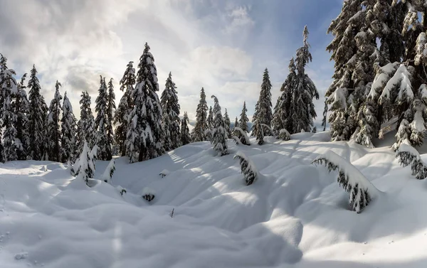 Canadian Nature Landscape Covered Fresh White Snow Winter Taken Seymour — Stock Photo, Image