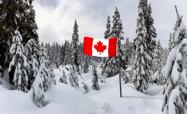 Paisagem Natural Canadense Coberto Neve Branca Fresca Durante Inverno Tomado — Fotografia de Stock